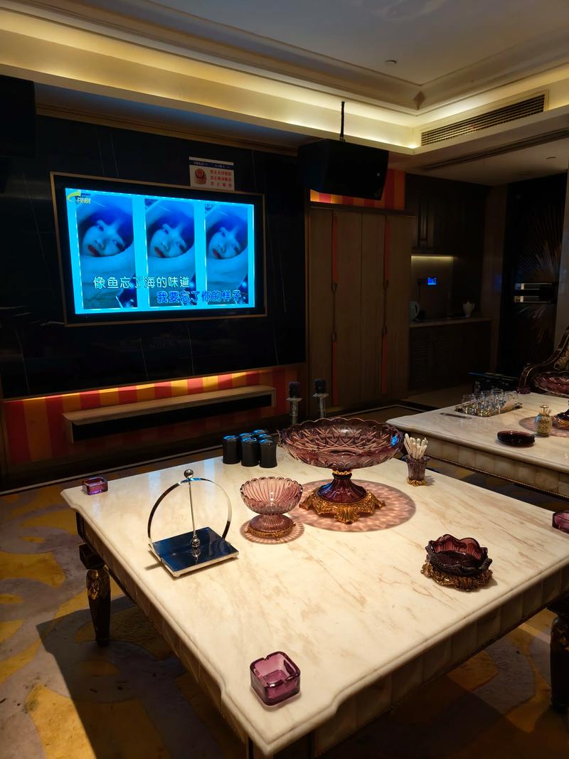 龙岩商务ktv哪里有好选择-连城县ktv预订